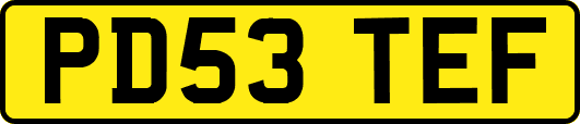 PD53TEF