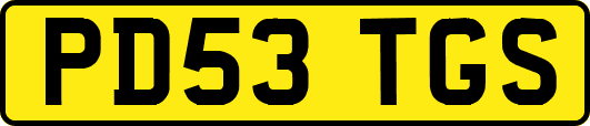 PD53TGS