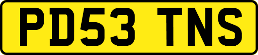 PD53TNS