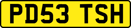PD53TSH
