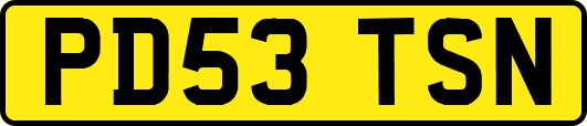 PD53TSN