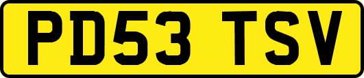 PD53TSV