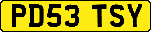 PD53TSY
