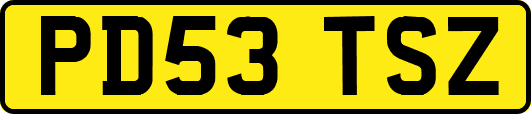 PD53TSZ
