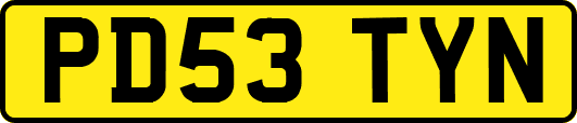 PD53TYN