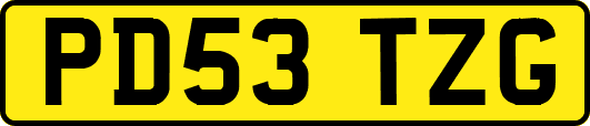 PD53TZG