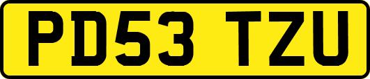 PD53TZU