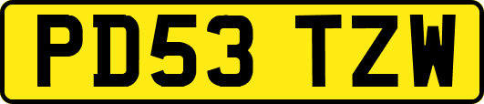 PD53TZW