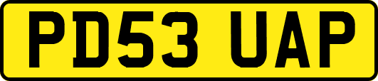 PD53UAP