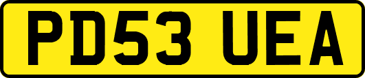 PD53UEA
