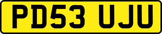 PD53UJU