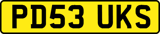 PD53UKS