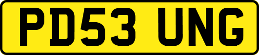 PD53UNG