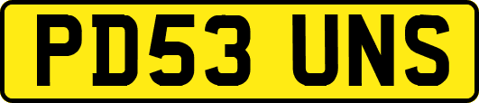 PD53UNS