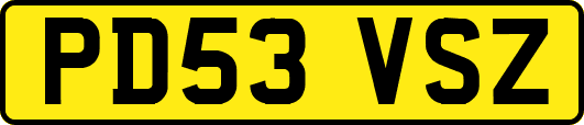 PD53VSZ