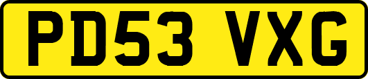 PD53VXG