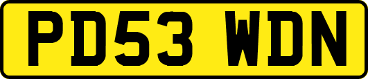 PD53WDN