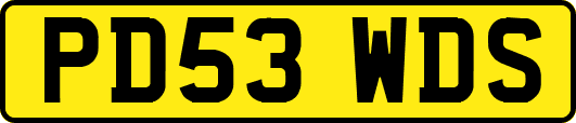PD53WDS
