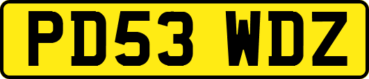 PD53WDZ