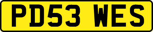 PD53WES