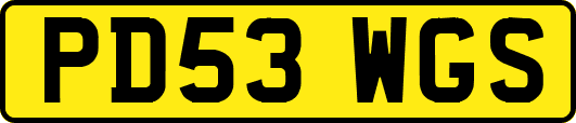 PD53WGS