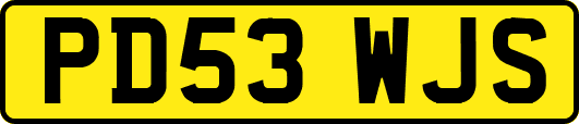 PD53WJS