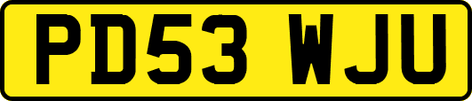 PD53WJU