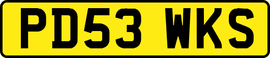 PD53WKS