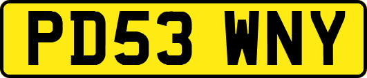 PD53WNY