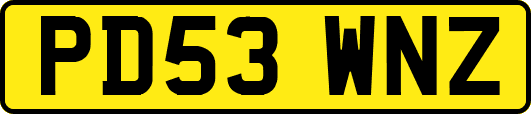 PD53WNZ