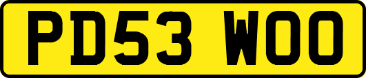 PD53WOO