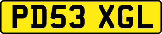 PD53XGL