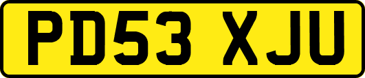 PD53XJU