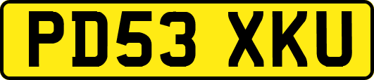 PD53XKU
