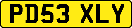 PD53XLY