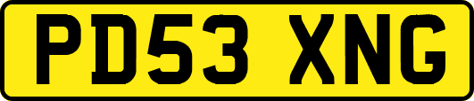 PD53XNG