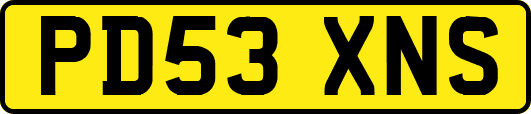 PD53XNS