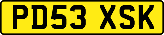 PD53XSK