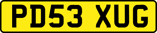 PD53XUG