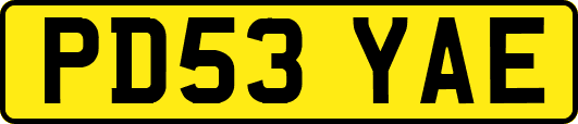 PD53YAE