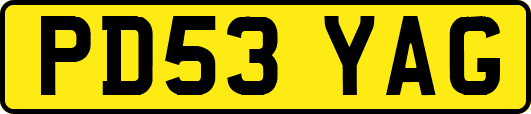 PD53YAG