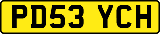 PD53YCH