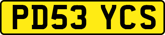 PD53YCS