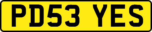 PD53YES
