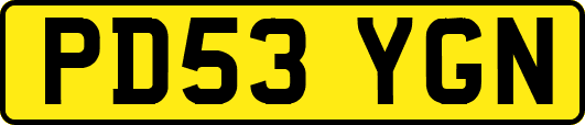 PD53YGN