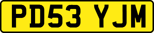 PD53YJM