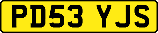 PD53YJS