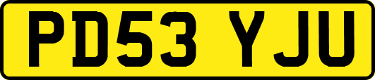 PD53YJU