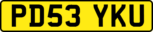 PD53YKU