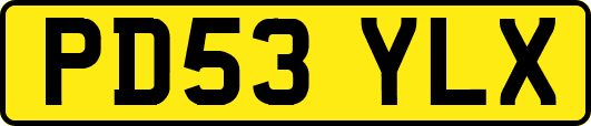 PD53YLX